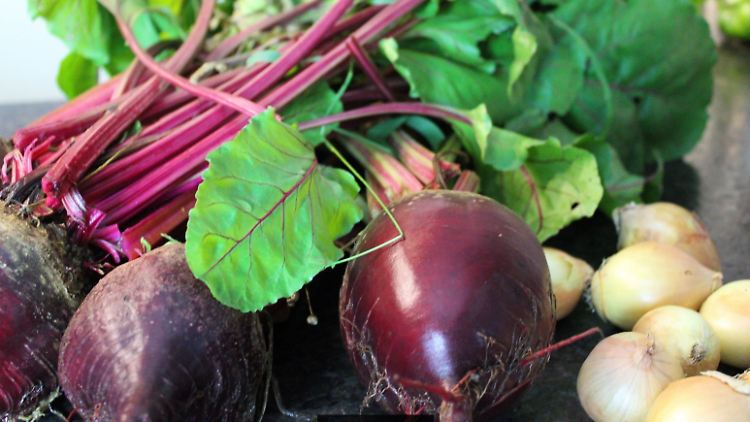 Die Rote Bete ist eine Vitaminbombe, wie man sie im Herbst gut gebrauchen kann.