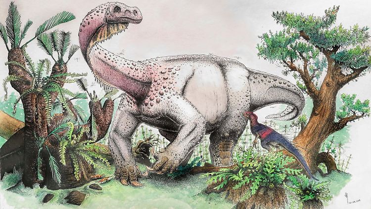 Dinosaurier der Art "Ledumahadi mafube" (frei übersetzt etwa "der große Donnergroll im Morgengrauen") in einer Grafik.