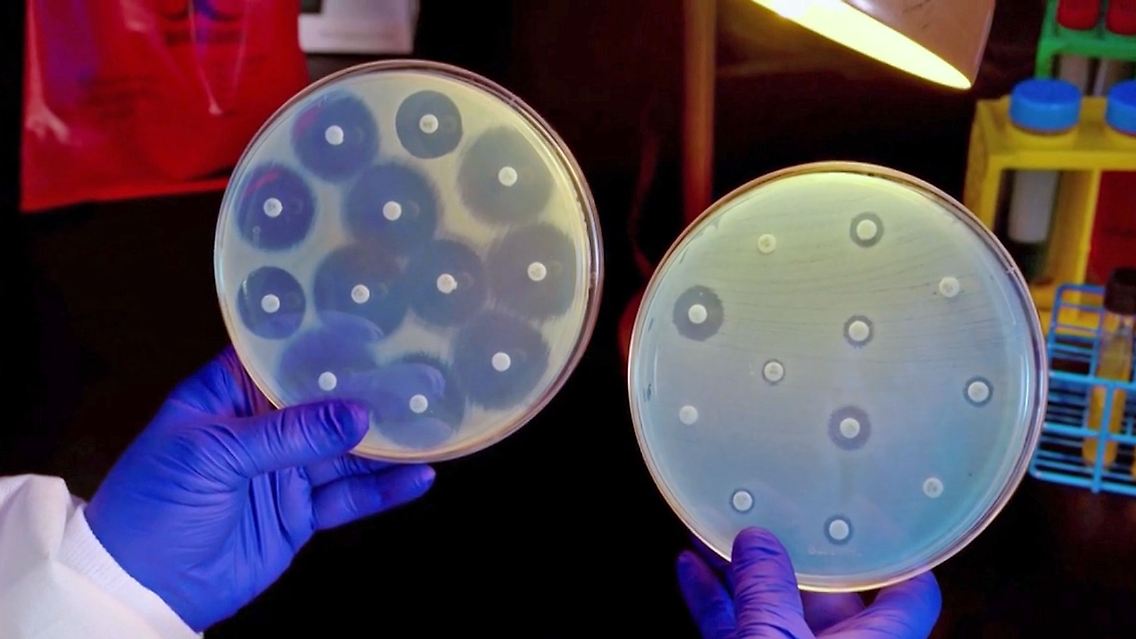 Antibiotika.jpg