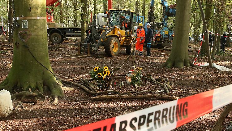 RWE hält an der geplanten Rodung des Waldes fest.