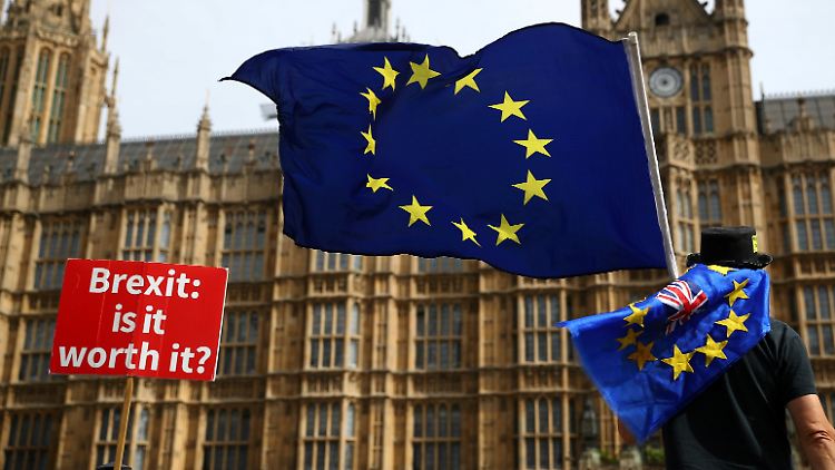 Die Brexit-Gegner sind unermüdlich - aber im März soll Großbritannien aus der EU austreten.