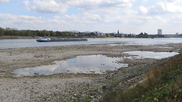 Vielerorts führt der Rhein nur noch wenig Wasser - eine Folge der langanhaltenden Trockenheit.