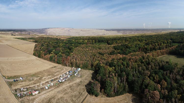 Der Hambacher Forst wird nun gerodet.