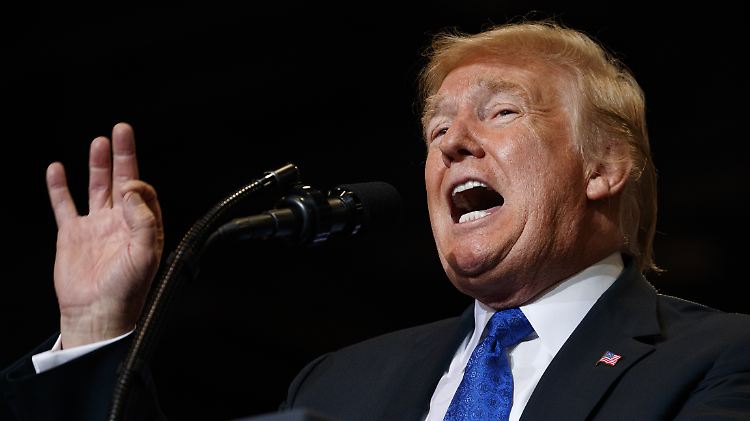 Trump wettert gegen "Mini Mike Bloomberg".