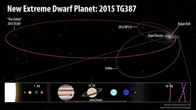 Oben: Die Umlaufbahnen des Zwergplaneten 2015 TG387 und der Objekte 2012 VP113 und Sedna im Vergleich mit dem Rest des Sonnensystems.
Unten: Ein Vergleich von 2015 TG387 bei 65 AE mit den bekannten Planeten des Sonnensystems. 
