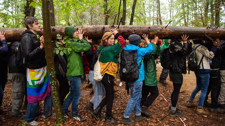 Heftiger Protest von Aktivisten im Hambacher Forst verschaffte dem Thema wochenlang bundesweite Aufmerksamkeit.