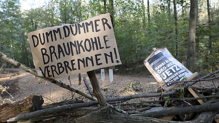 Ein Teilerfolg für die Umweltschützer? RWE hat laut Medienbericht zumindest angekündigt, die Braunkohleförderung zurückzufahren.