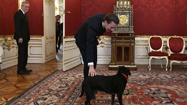 Der Hund (r.) von Österreichs Präsident Alexander Van der Bellen (l.) fällt sicherlich nicht unter die Neuregelung.