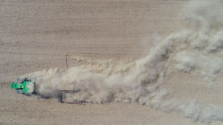 Nicht nur die Landwirtschaft leidet unter klimabedingten Katastrophen wie Dürre. 