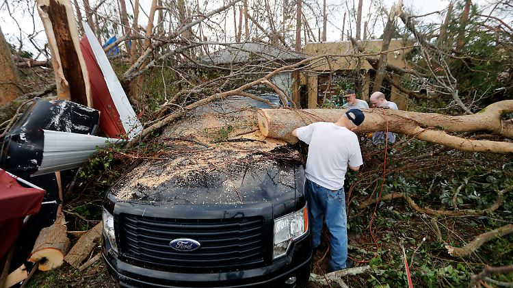 Ein Mann in Florida versucht sein Fahrzeug von der Last eines durch "Michael" umgestürzten Baumes zu befreien. 