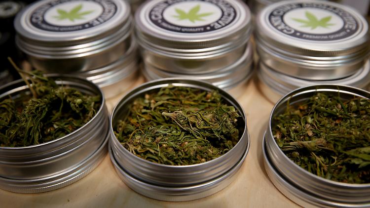 Cannabis macht viele Anleger wuschig.