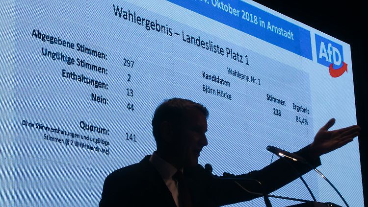 Björn Höcke geht bei den Thüringer Landtagswahlen als Spitzenkandidat der AfD ins Rennen.