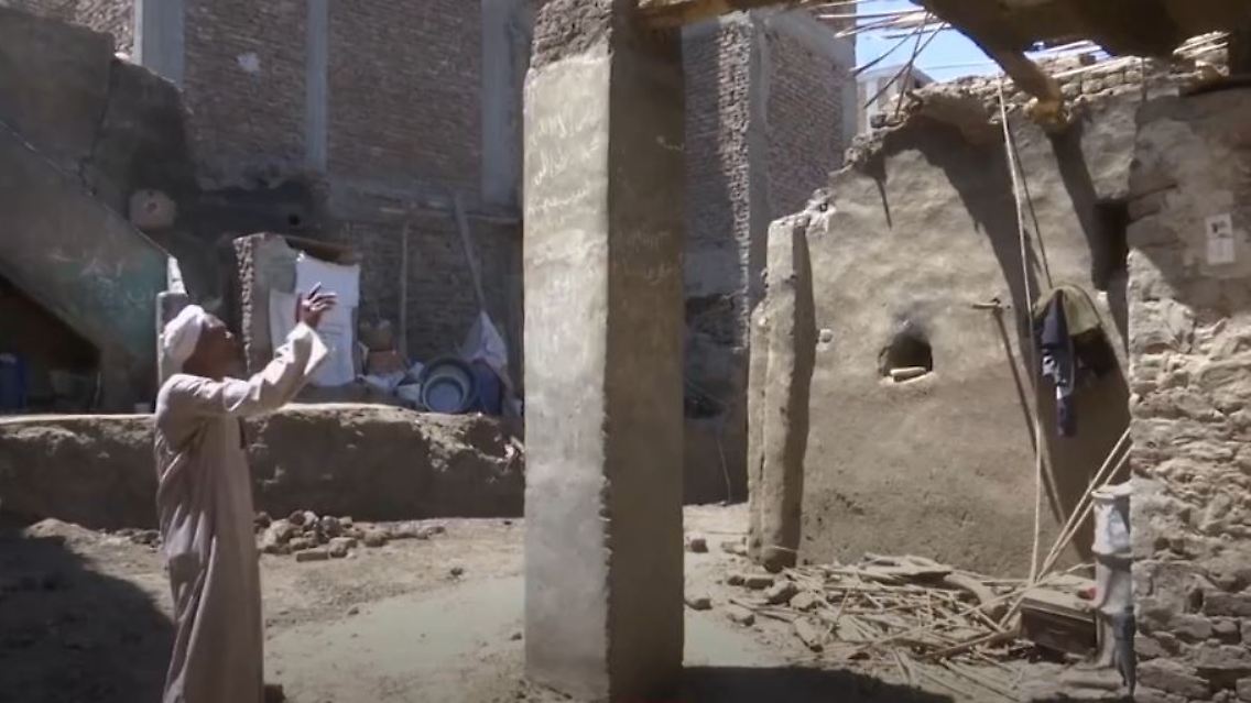 termiten1.JPG