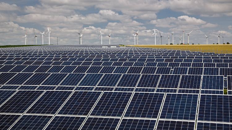 Die Studie liefert auch Antworten auf die Konflikte zwischen Naturschützern und dem Bau von Windrädern.