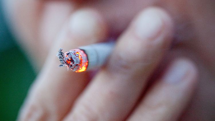 Zwar rauchen immer weniger Deutsche Zigaretten - doch Ersatzprodukte wie E-Zigaretten oder Shishas werden gleichzeitig immer beliebter. 