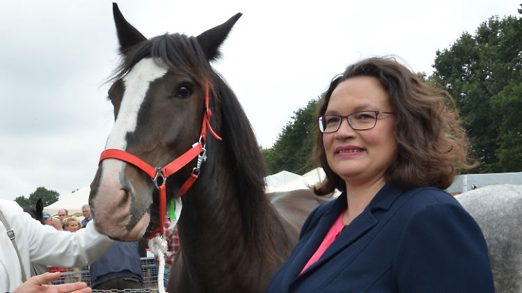 SPD-Chefin Andrea Nahles mag Pferde. 