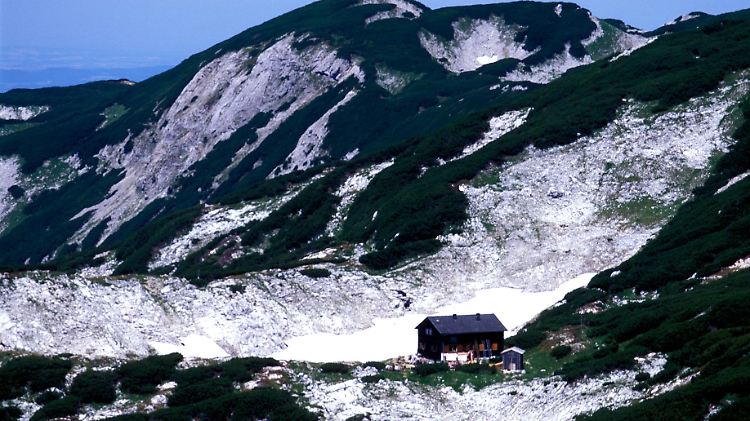 "Schorschi" wurde zuletzt lebend bei der Rieder Hütte im Höllengebirge gesehen.