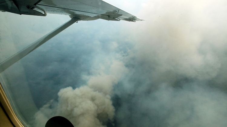 Medienberichten zufolge konnte der Pilot der Cessna die Maschine sicher landen (Symbolbild).