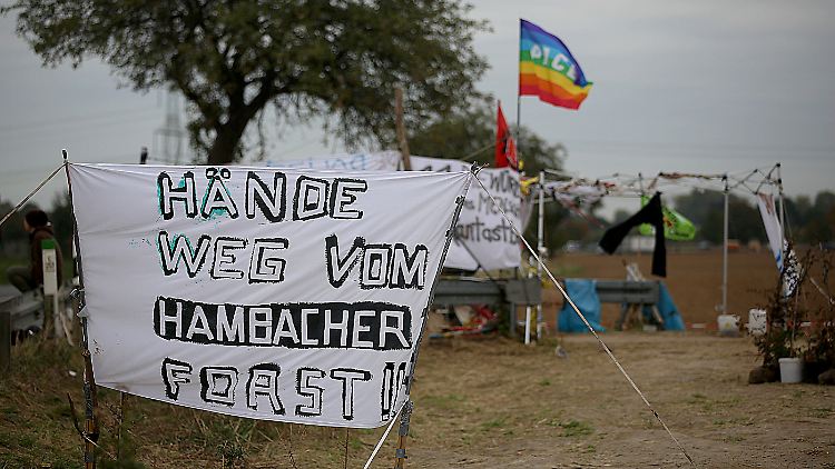 Vor einem Protestcamp am Rand des Hambacher Forstes stellen sich Aktivisten weiter einer Abholzung des Waldes entgegen.