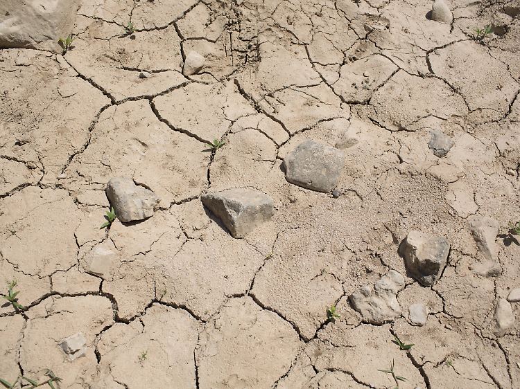 Wissenschaftlern zufolge lebt mehr als die Hälfte der Weltbevölkerung in Gebieten, wo länger als einen Monat pro Jahr große Wasserknappheit herrscht.