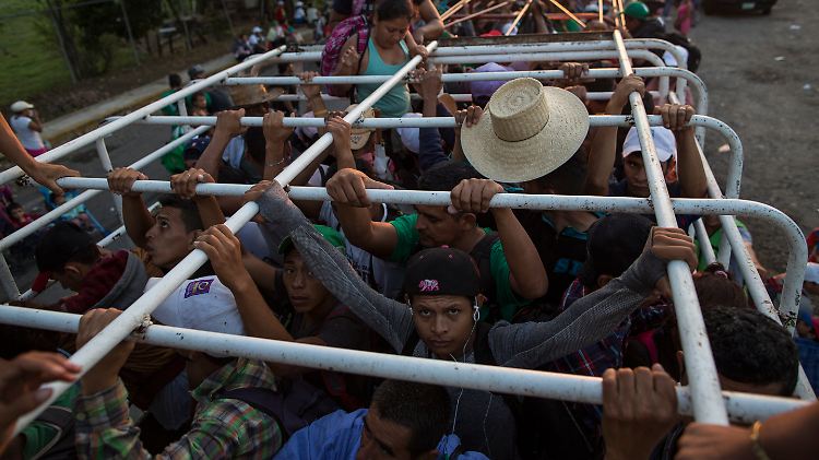 Migranten lassen sich auf Viehlastwagen in Mexiko nach Norden transportieren. Die Polizei hat den Zug jedoch angehalten.