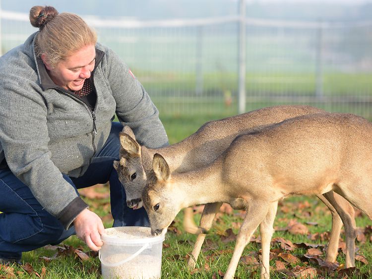 Michaela Wiest, Mutter von fünf Kindern, hat die Kitze mit der Flasche aufgezogen.