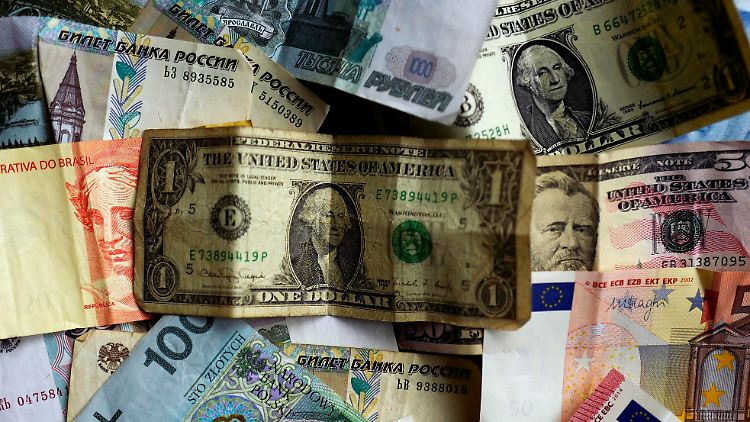 Gründer Noisternigg hatte in einem Kästchen in der Küche Währungen aus 20 verschiedenen Ländern. Er machte daraus 300 Euro.