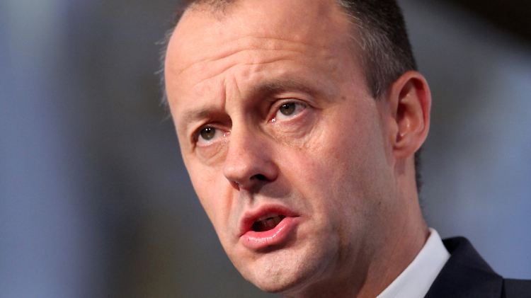 Friedrich Merz ist für viele Mitglieder der Werteunion "ein Hoffnungsträger", sagt deren Vorsitzender Alexander Mitsch.