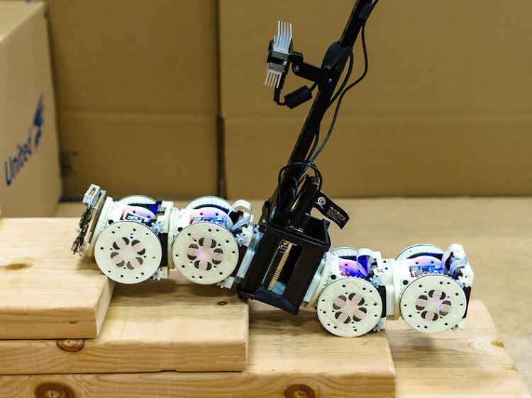Der MSRR (Modular Self Reconfigurable Robot) in der Konfiguration "Skorpion".