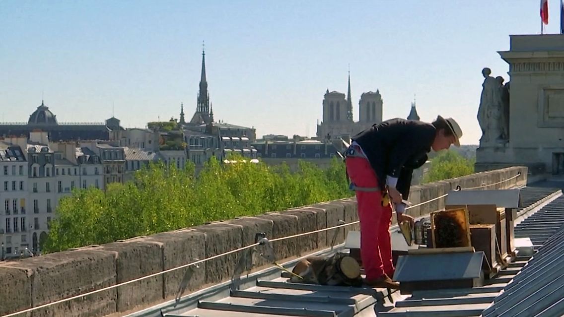 ParisBienen.jpg