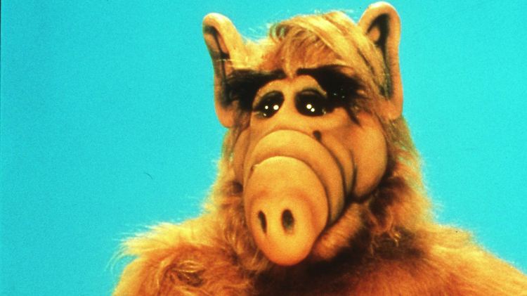 Er hätte gegen einen Dschungel-Trip sicher nichts einzuwenden gehabt: Alf.