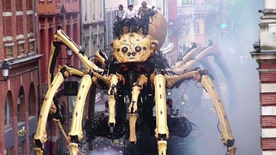 spinne.JPG