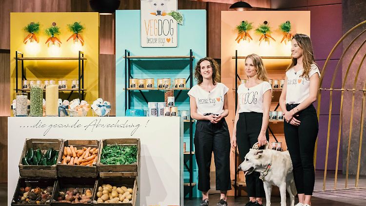 Hunde könne überzeugte Vegetarier werden, ist sich das innovative "VegDog"-Trio sicher.