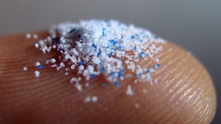 Primäres Mikroplastik: Kleine Kunststoffpartikel, die einem Peeling-Gel hinzugefügt waren.