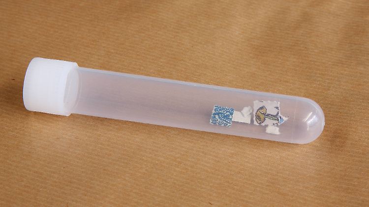 LSD-Blotter sind saugfähige Papierblättchen, die als Trägermaterial benutzt werden.