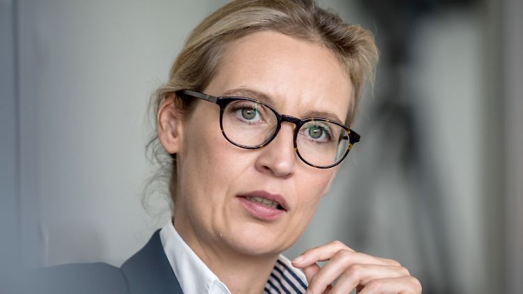 "Die Spende ist nicht an meine Person gegangen", sagt Alice Weidel.