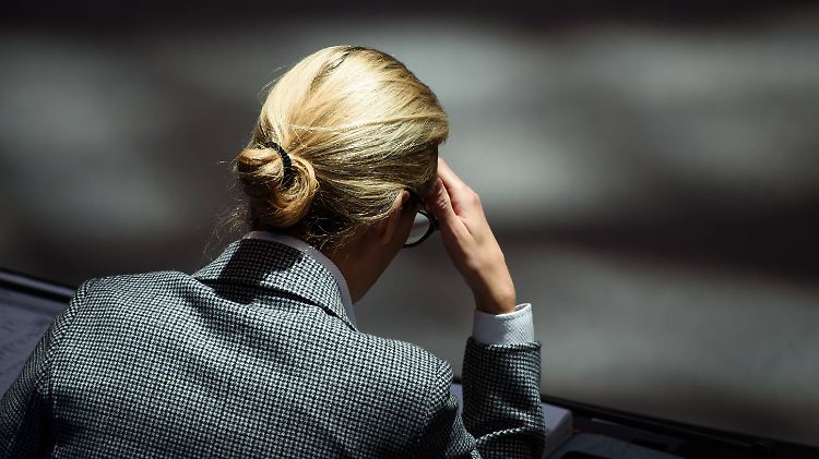 Alice Weidel schließt persönliche Konsequenzen aus.
