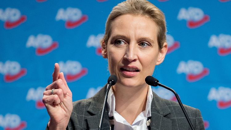 Alice Weidel weist jede Schuld von sich.