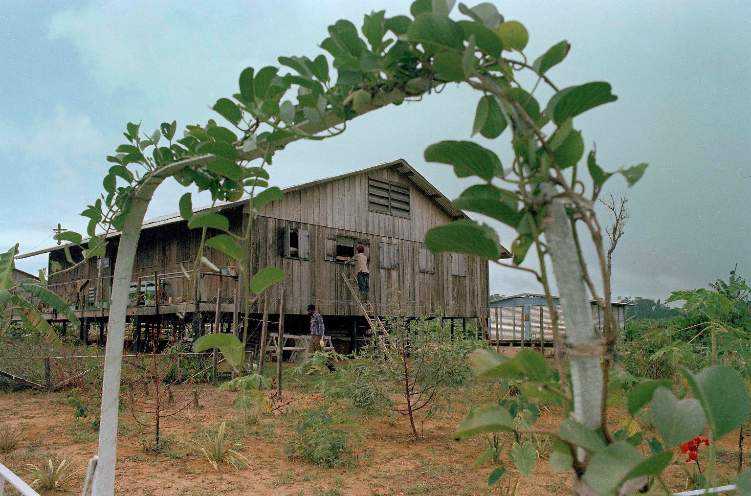 Das Gelände in Jonestown, Guyana, wirkt wie der friedlichste Platz auf Erden.