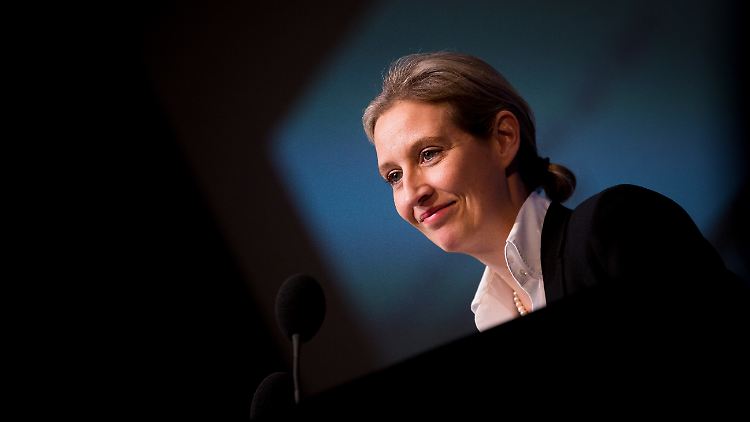 Gegen Weidel besteht laut Staatsanwaltschaft der Anfangsverdacht des Verstoßes gegen das Parteiengesetz.