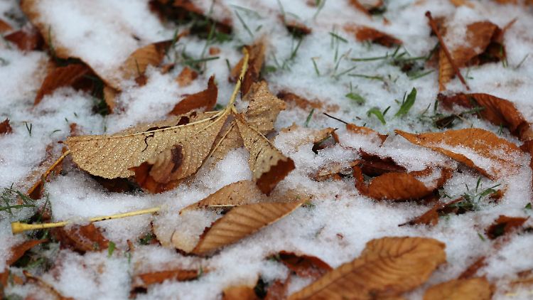 Fast kein Herbst: Nach dem langen Sommer kommt jetzt vielleicht der lange Winter.