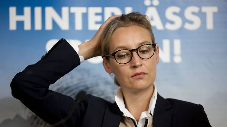 In Alice Weidels Kreisverband am Bodensee gingen anonyme Großspenden aus dem Ausland ein.
