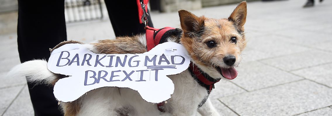 Der Brexit-Deal entwickelt sich binnen weniger Stunden zum Brexit-Drama.
