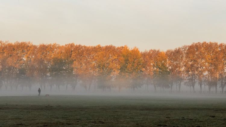 Nebel im bayerischen Pegnitzgrund: In ganz Deutschland wird es ab Sonntag nachts frostig.