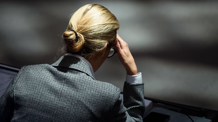 Alice Weidel weist alle Vorwürfe von sich. 