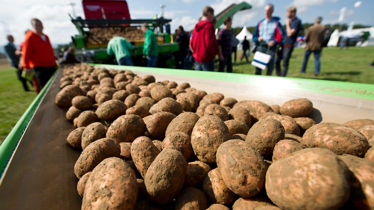 Die Ernte ging um 1,5 bis 2 Millionen Tonnen zurück.