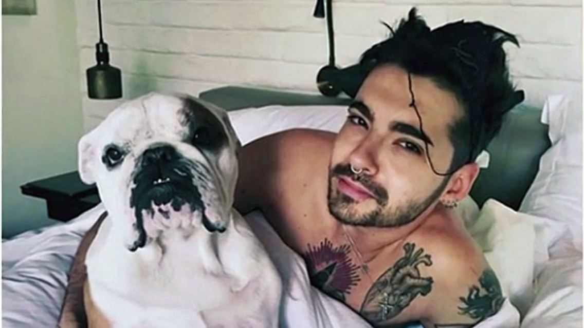 BillKaulitzHundPumba.jpg