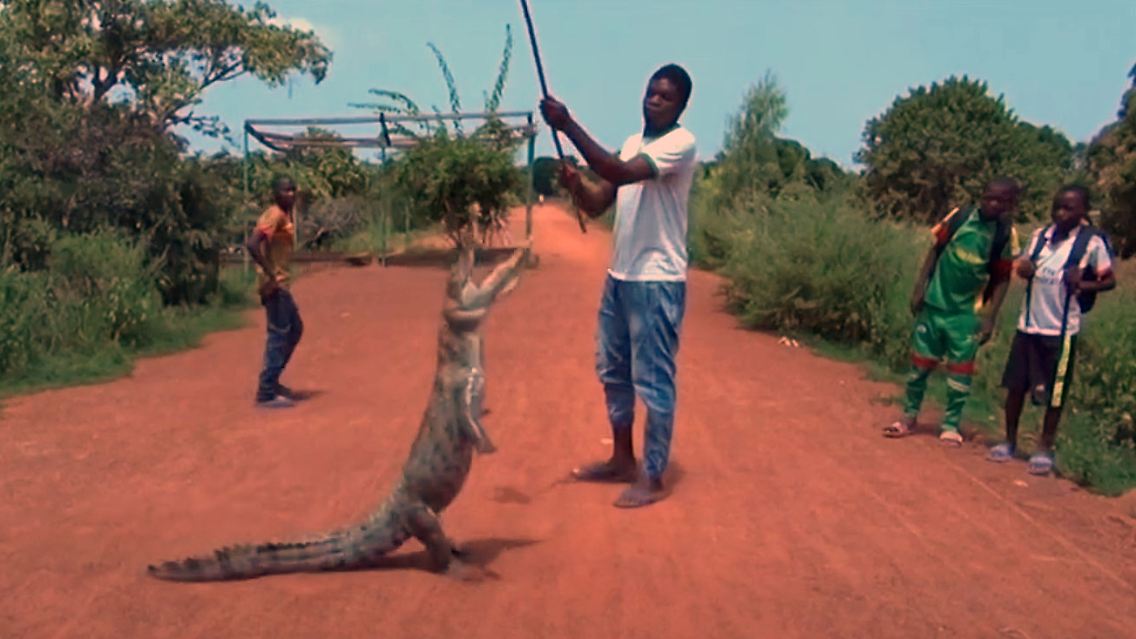 FriedlicheKrokodile.jpg