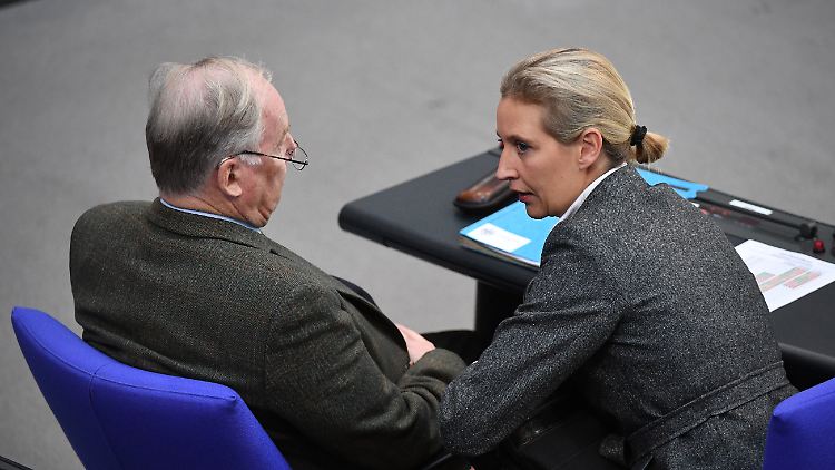 Sie brauchen sich gegenseitig: Alexander Gauland und Alice Weidel.