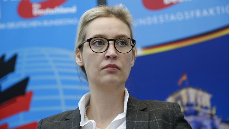 Die Staatsanwaltschaft Konstanz ermittelt wegen der AfD-Spendenaffäre gegen die Fraktionsvorsitzende im Bundestag, Alice Weidel.